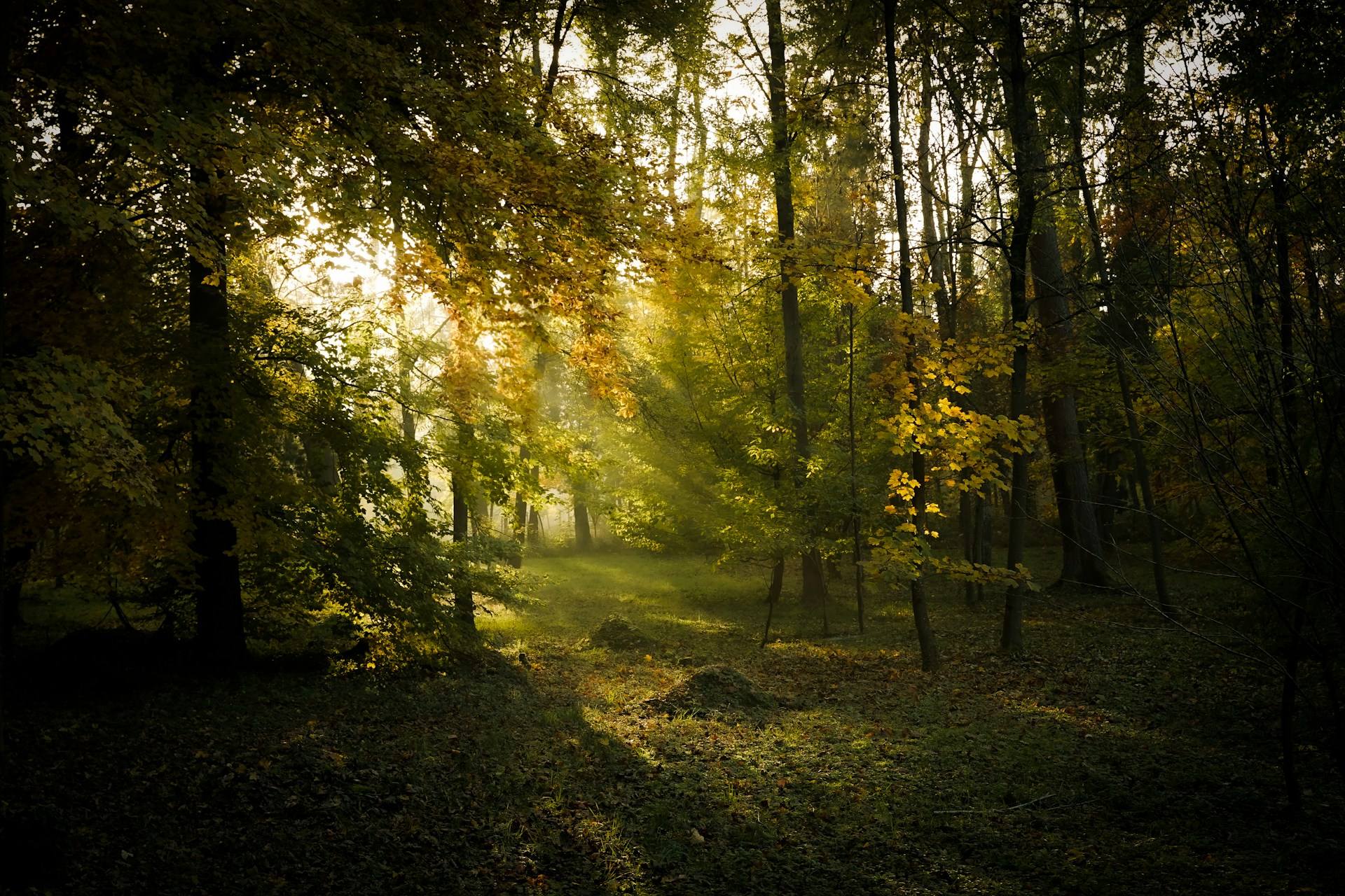 Commencer le programme bien-être contre le stress et l'anxiété